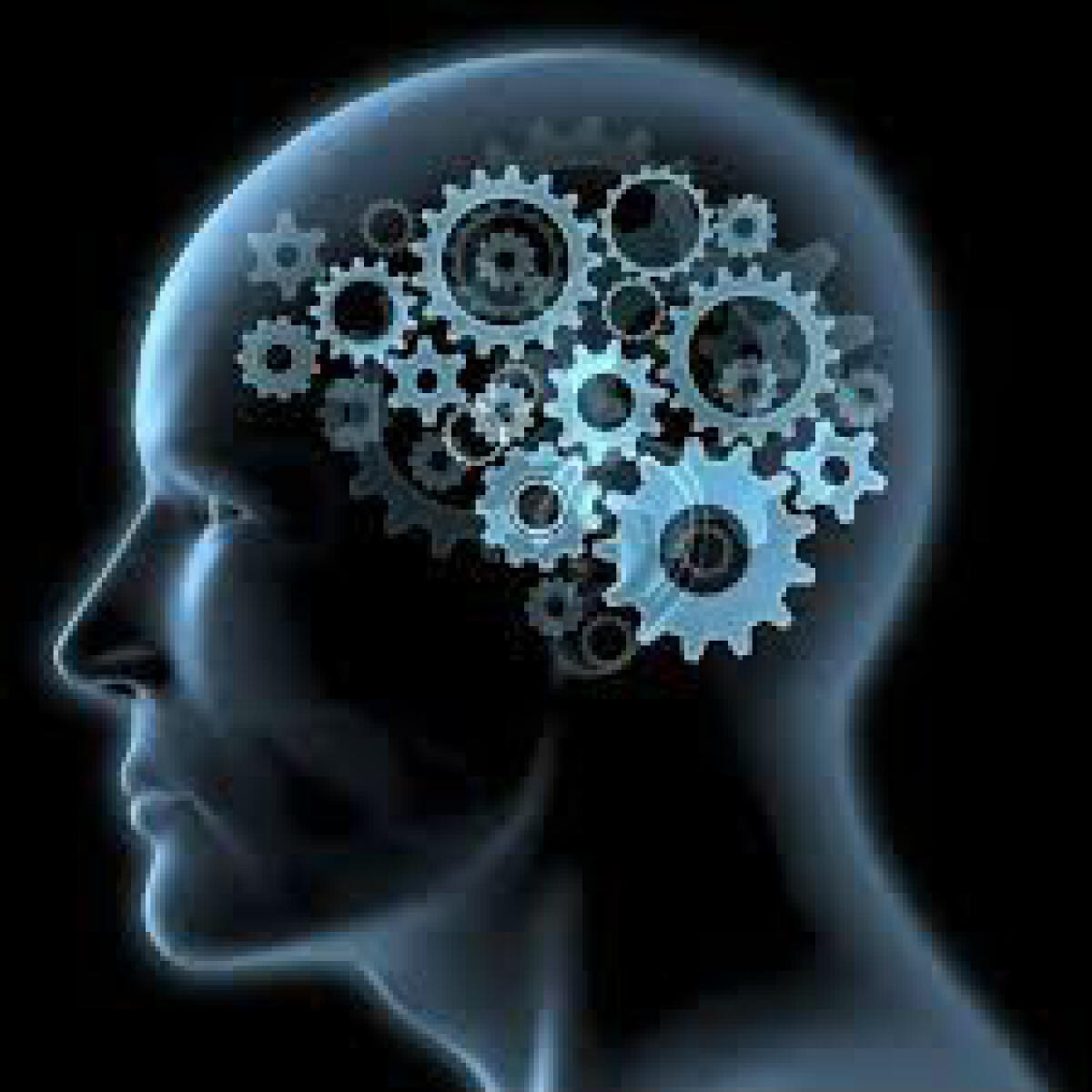 Il cervello a riposo? Ottimizza le proprie prestazioni future - 