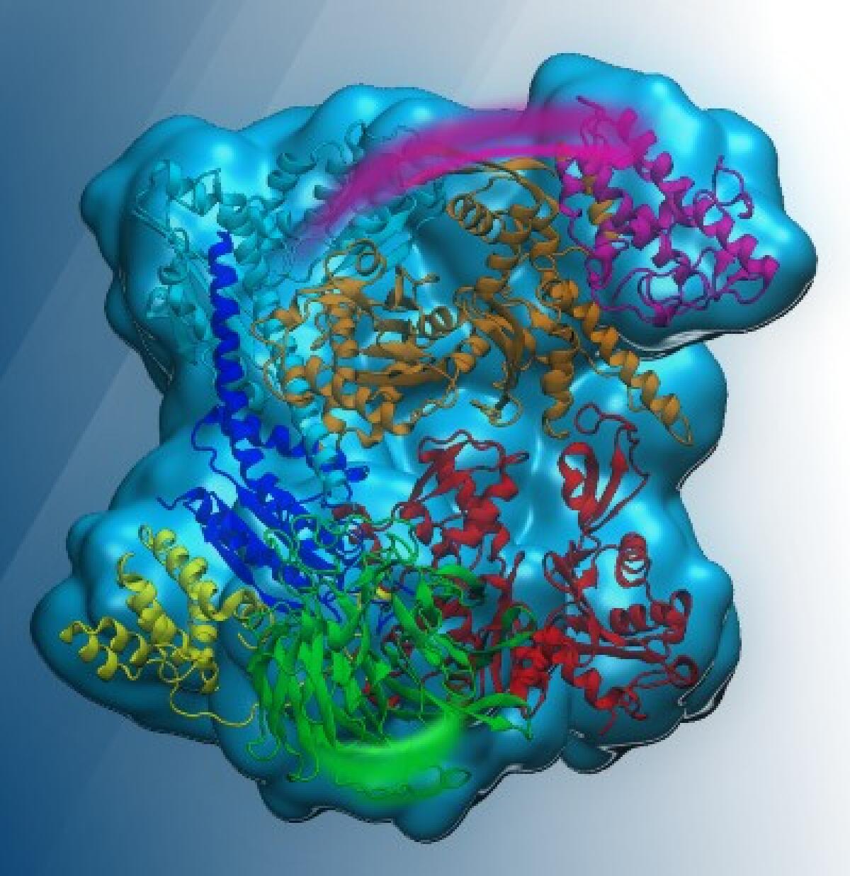 Quando le cellule si muovono male - 