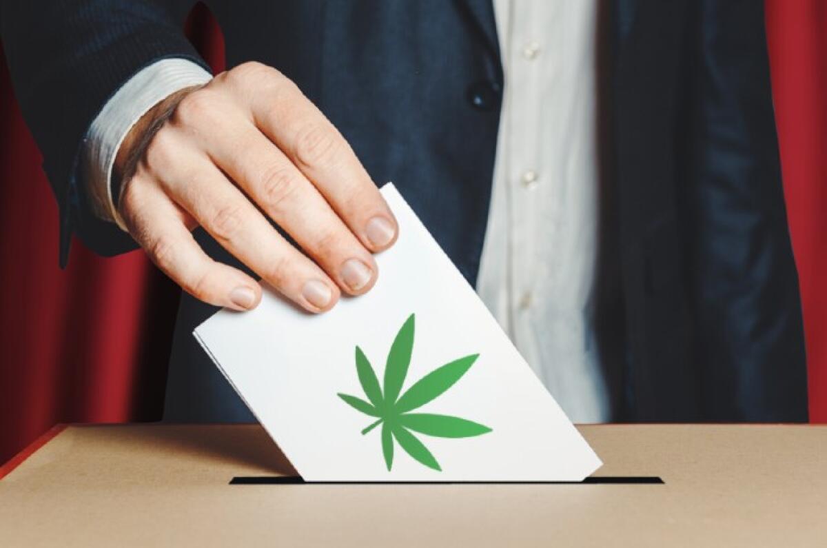 “Che bello! Due amici, una chitarra e uno spinello!” - 