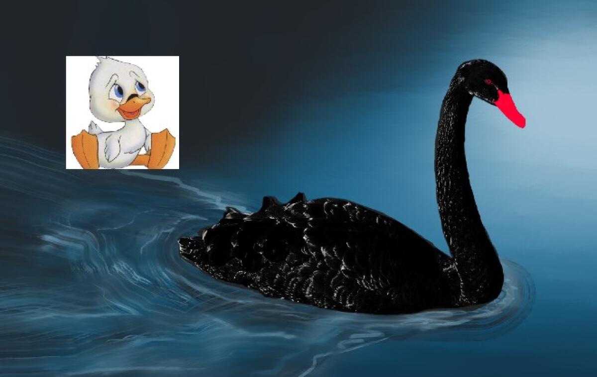 Enna, Crisi politica: dal “brutto anatroccolo” al “cigno nero” - 