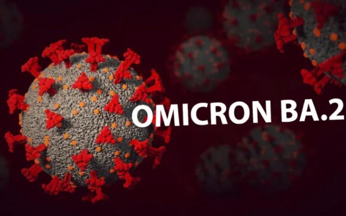 Il consenso  (dis)informato nella variante Omicron - 
