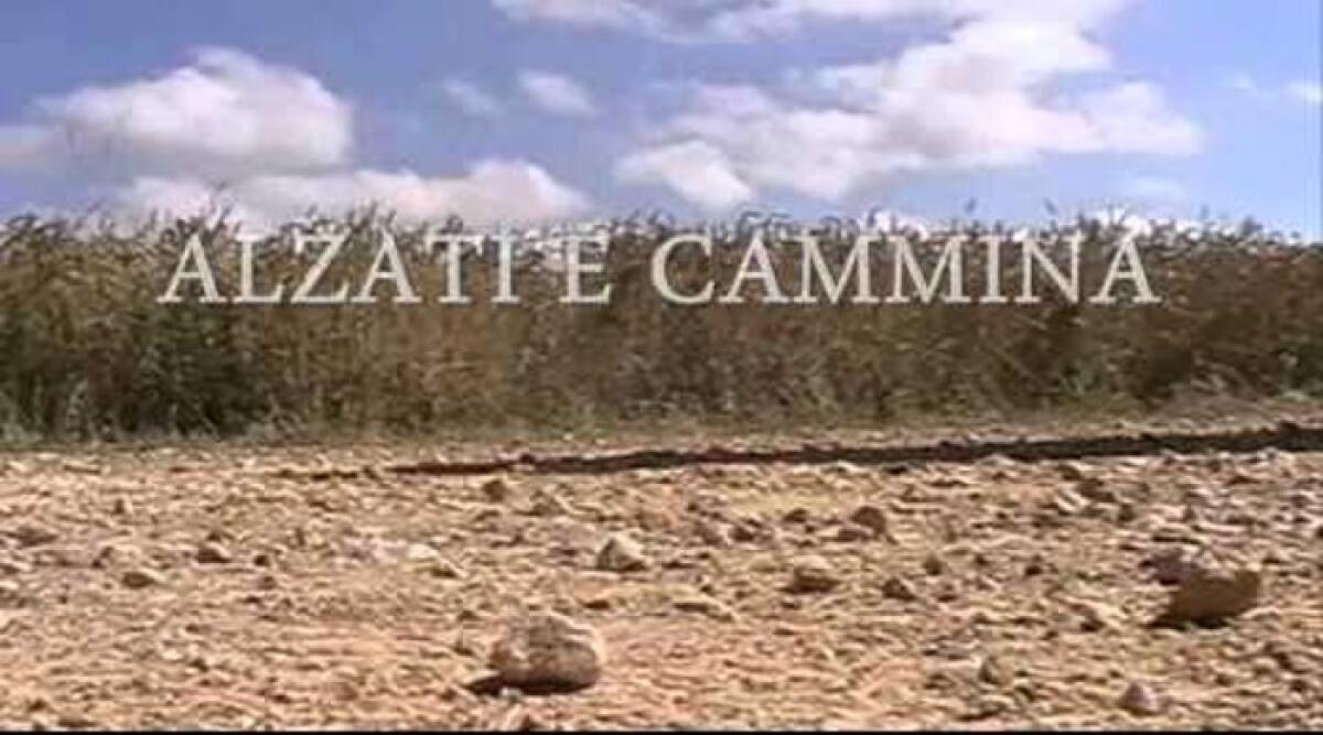 Province  a rischio riesumazione, ma non in Sicilia - 