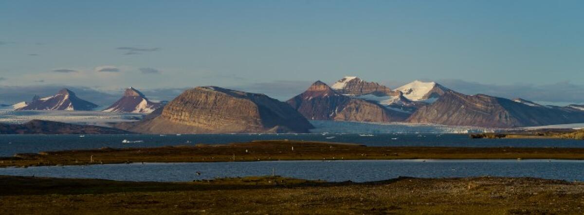 La tundra artica, sorgente o pozzo di CO2? - 