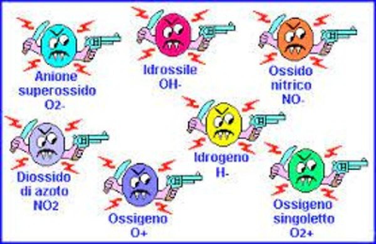 Attenti ai Radicali liberi - 