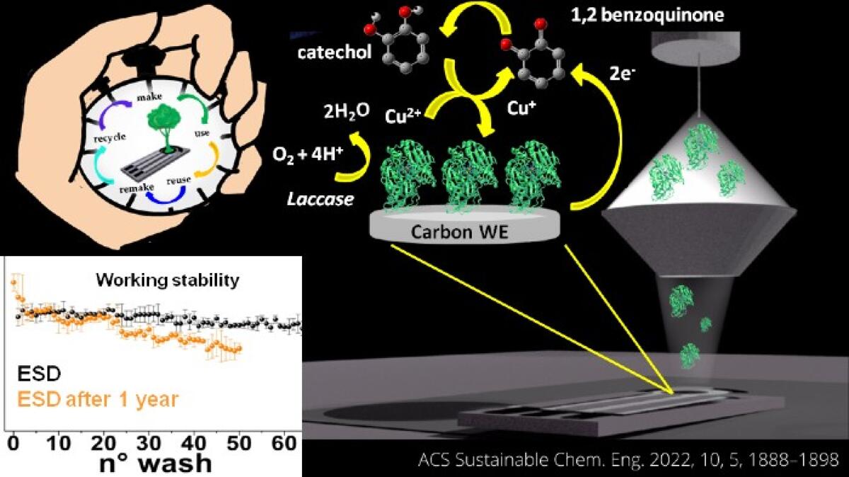 Biosensori ecosostenibili altamente performanti - 