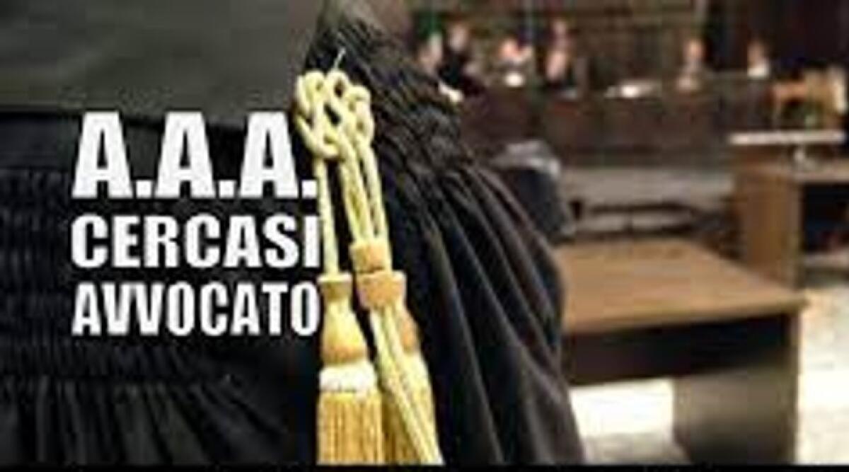 Enna. AAA... cercasi Avvocato bravo ed economico - 