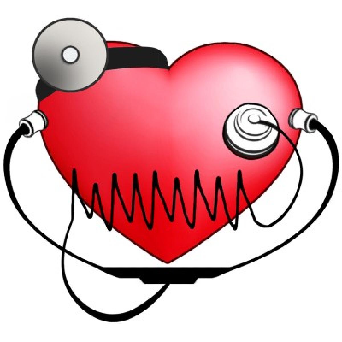 Scoperto meccanismo di defibrillazione intrinseco del cuore - 