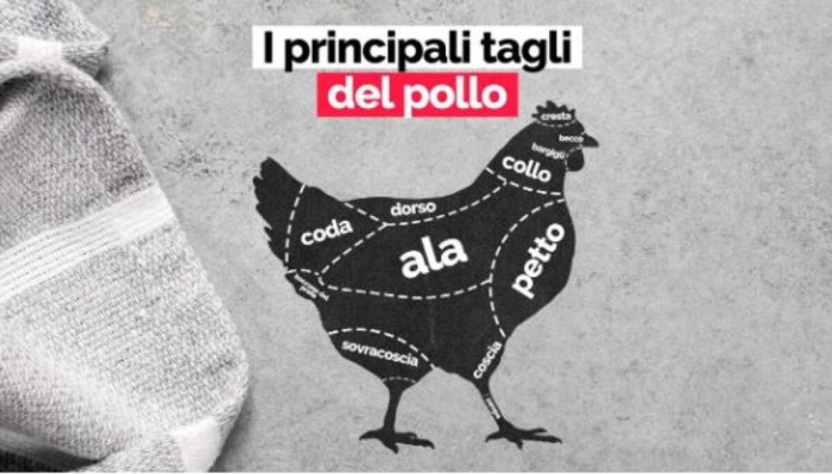 Enna. Pollo-clinico o polli-clinico? - 