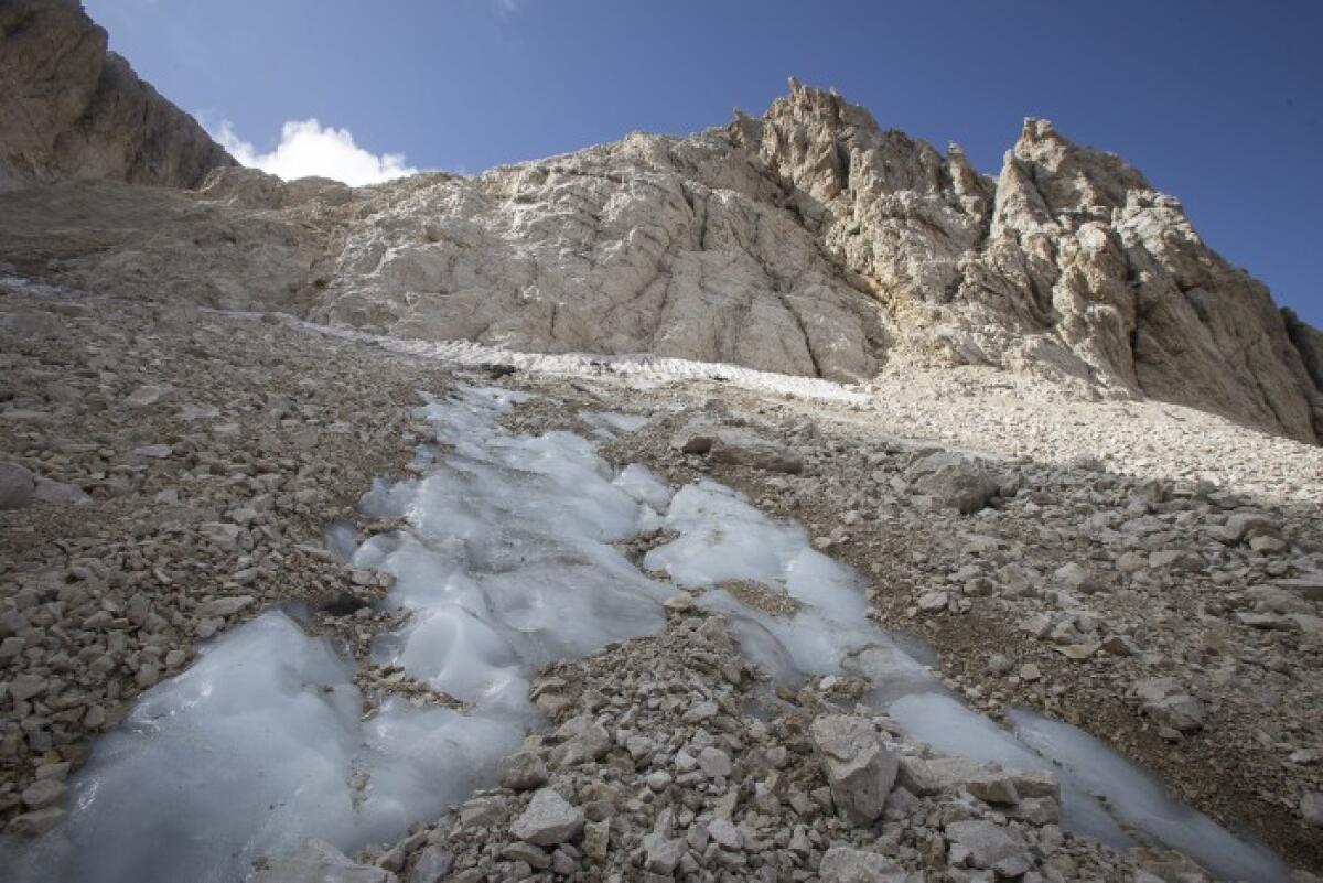 Nel cuore del ghiacciaio del Calderone tracce di vegetali e insetti - 