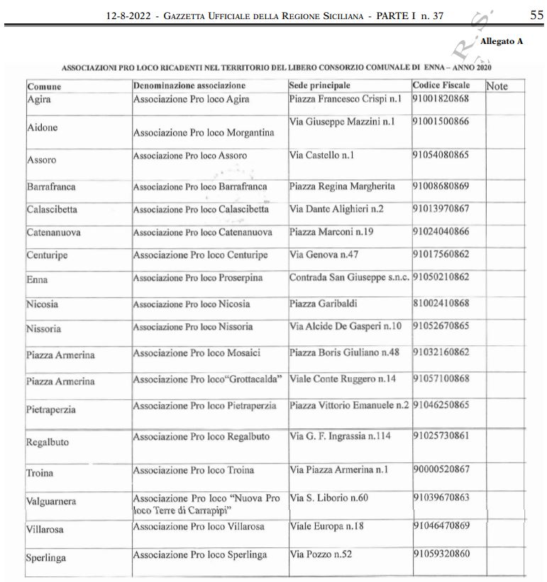 Gazzetta Ufficiale Regione Sicilia – 12 agosto 2022: Pro Loco prov.Enna, Ipab Agira