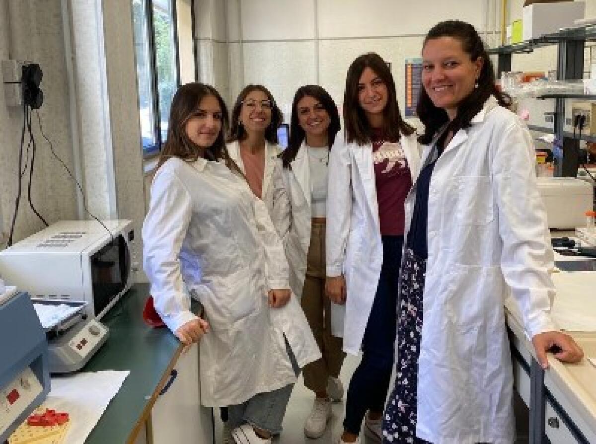 Passi avanti sperimentali per la terapia del tumore al pancreas - 