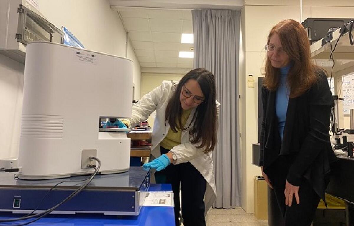 Un fascio di luce per individuare le cellule tumorali nel sangue - 