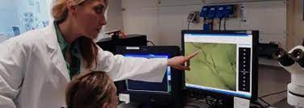 Sindromi dello spettro autistico nelle donne - 