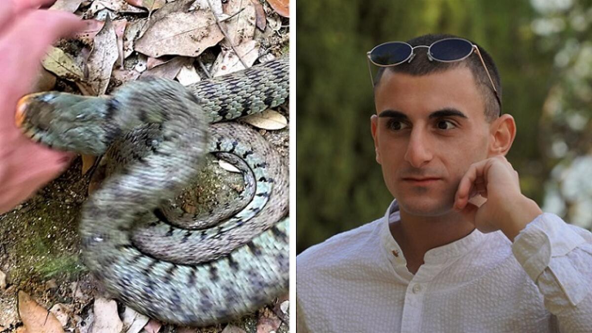 L’ambientalista Sebastian Colnaghi: le prove che la Natrice dal collare morde - 