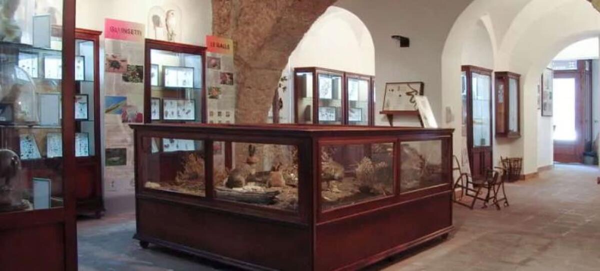 Agira: museo naturalistico-ambientale "Diodoro Siculo" - 