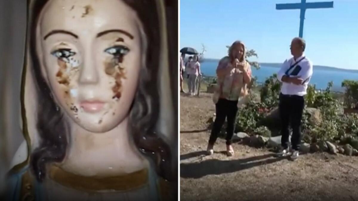 A.A.A. veggenti cercasi - 