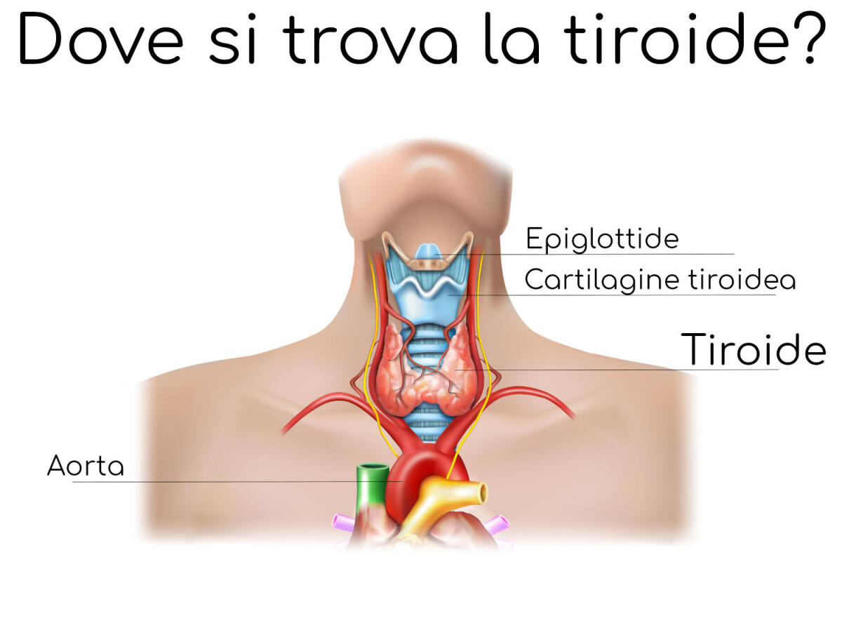 Passi avanti nel trattamento del tumore della tiroide - 