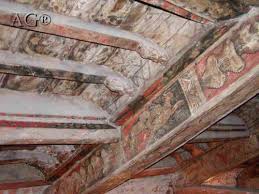 Cattedrale di Nicosia e le Chiese