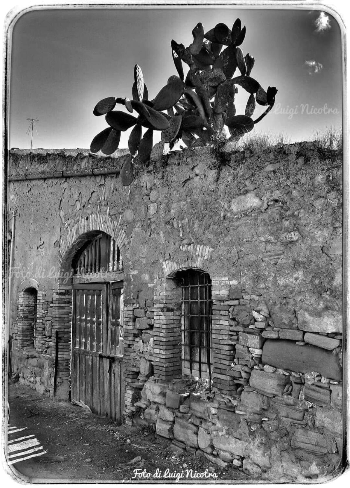 Naturalmente in bianco e nero. Foto by Luigi Nicotra - 