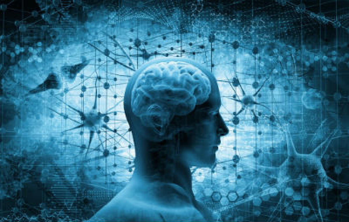 Cervello umano, prima mappatura neuronale dell’area del linguaggio - 