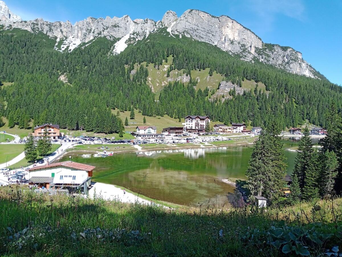 Foreste, toccasana per l’asma - 