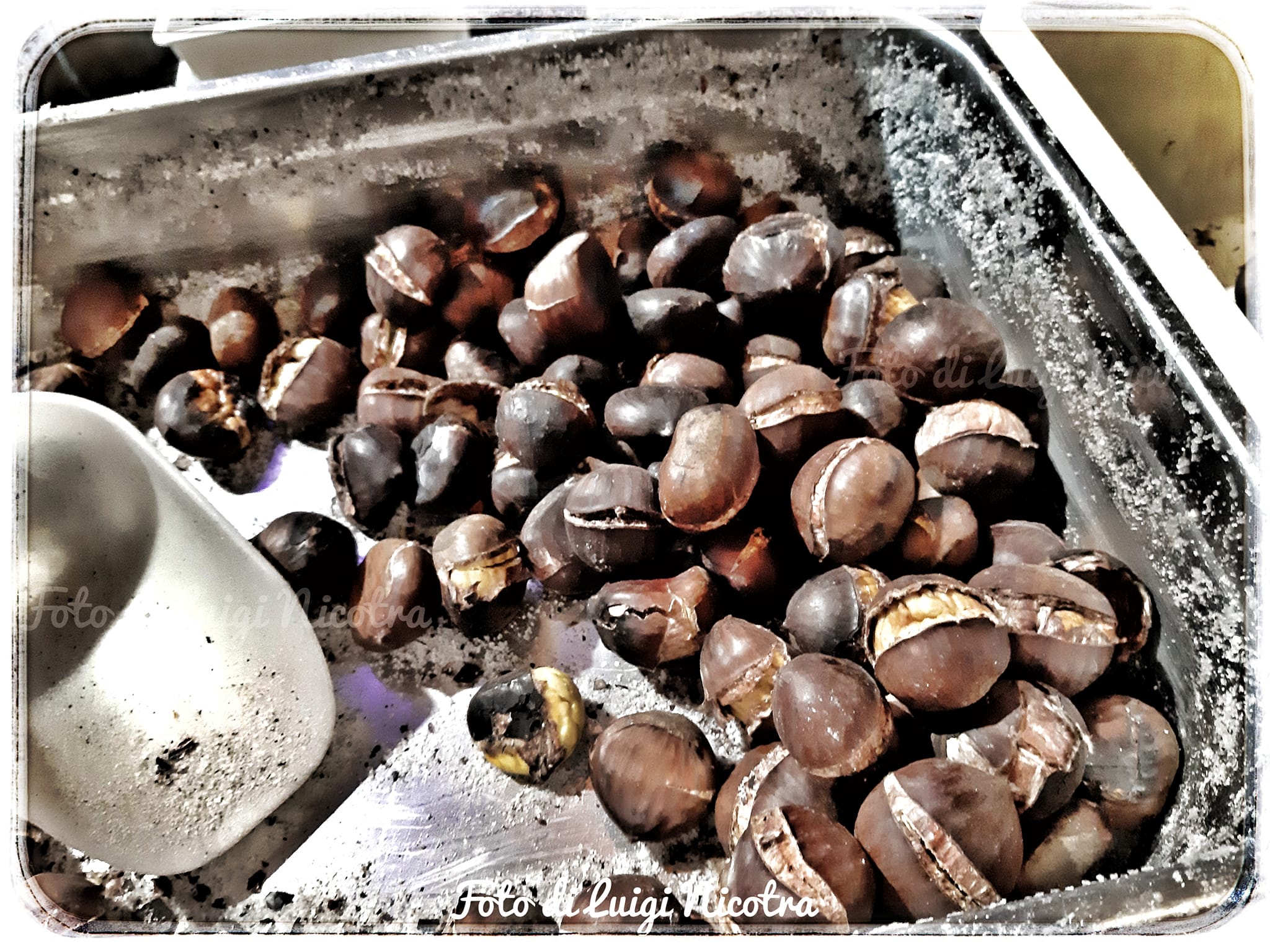 Enna. Festa San Martino 2023 "a Chiazza"