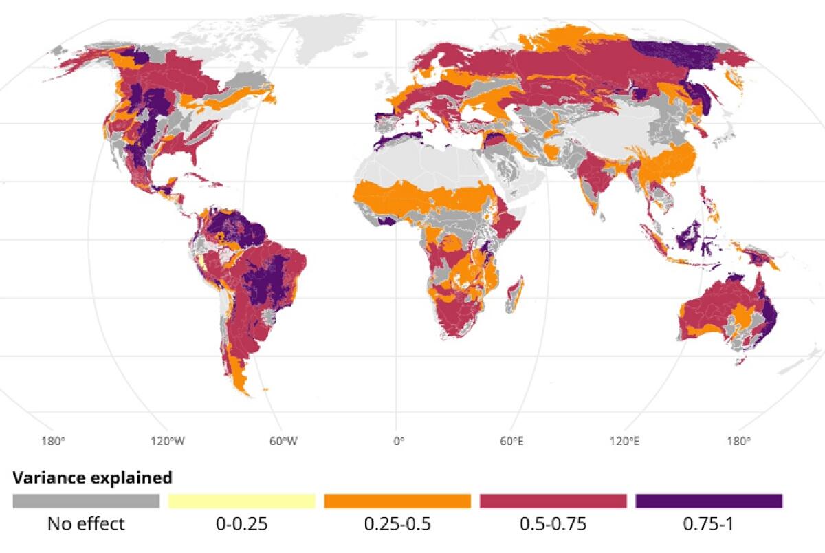 Come le variazioni climatiche influenzano gli incendi - 