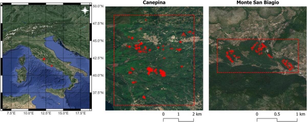 Malattia dell'inchiostro nelle foreste italiane: il potenziale del telerilevamento satellitare - 