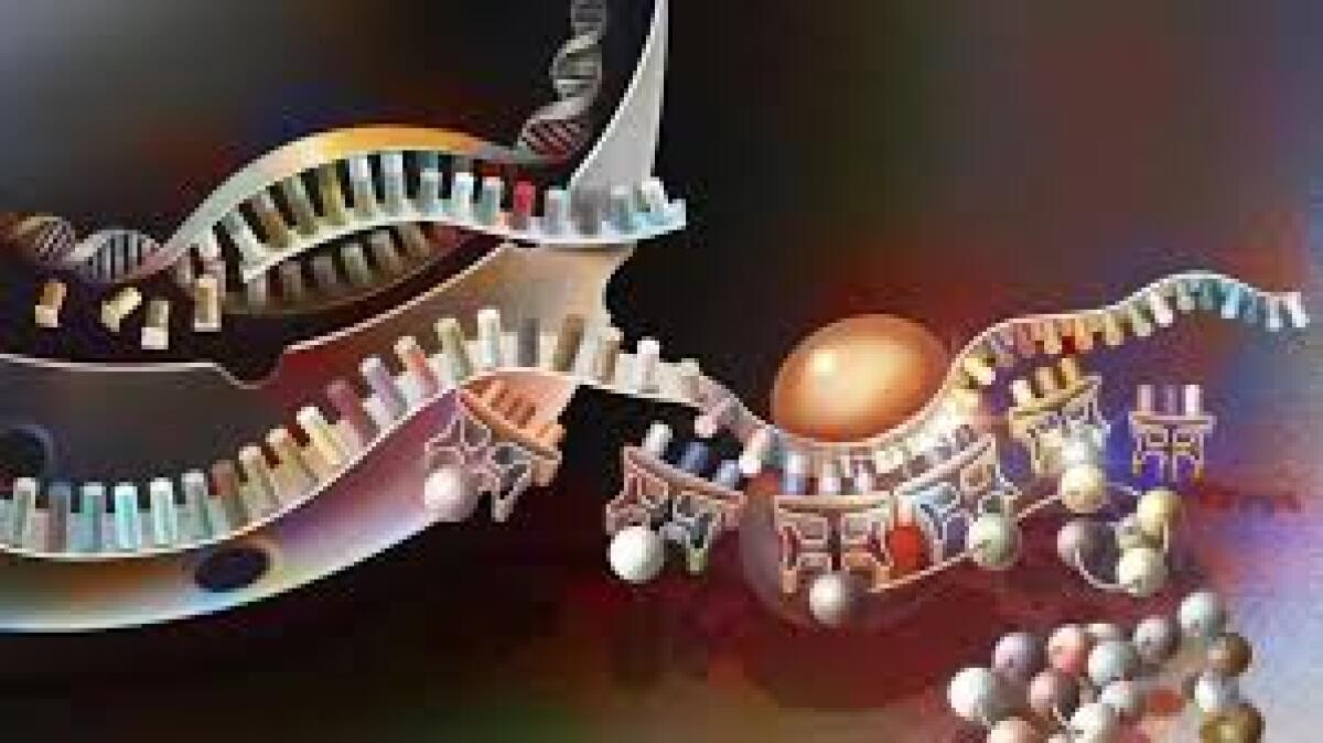 L’integrità del genoma cellulare come “arma” per combattere il tumore - 