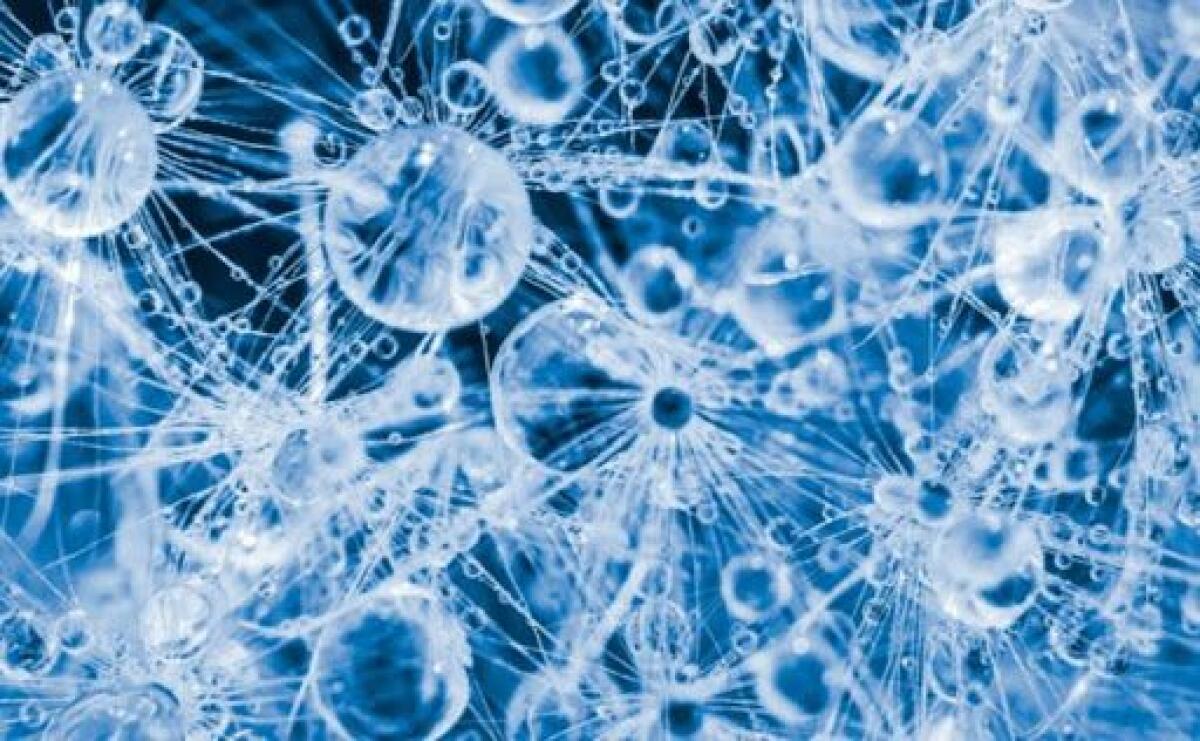 Una nuova spettroscopia rivela i segreti quantistici dell'acqua - 