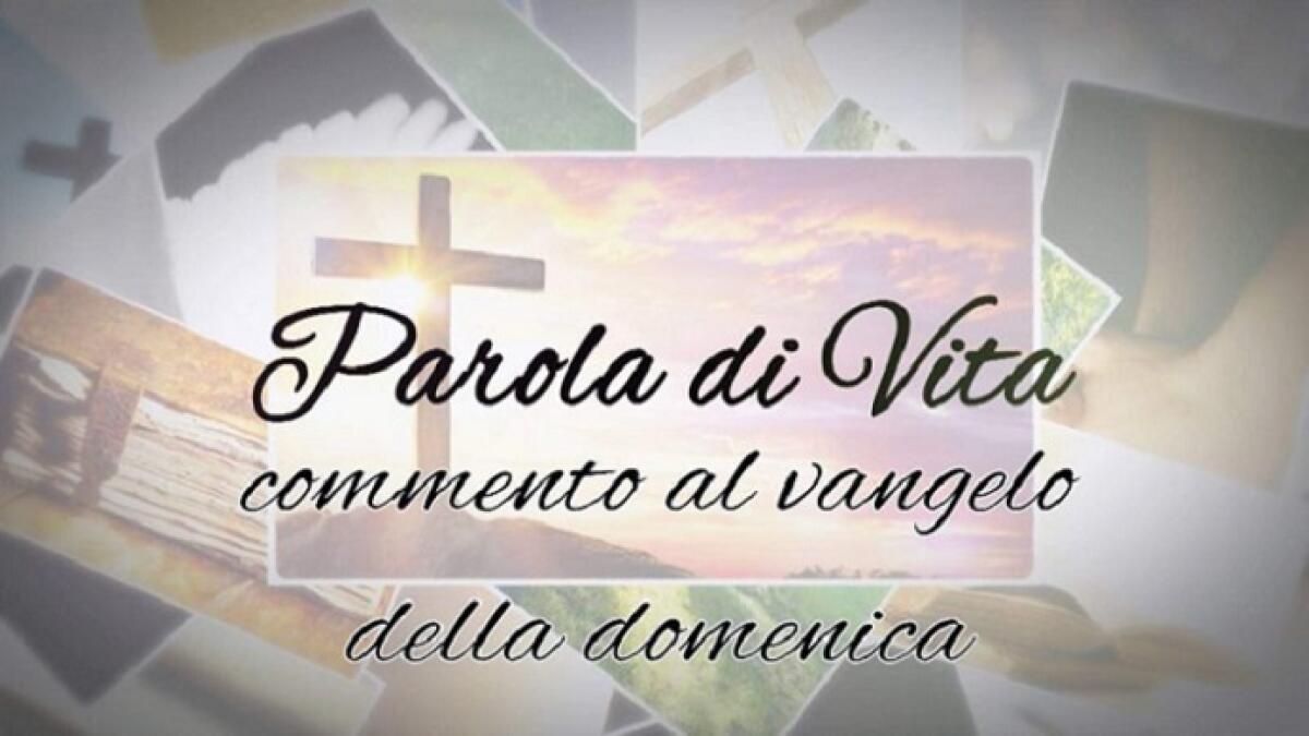 Meditazione al Vangelo del 24 novembre 2024 - 
