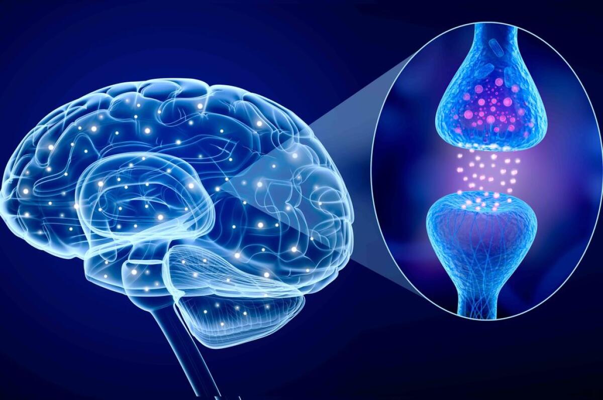 Asp Enna: nuova equipe per i pazienti affetti da SLA, Sclerosi Laterale Amiotrofica - 