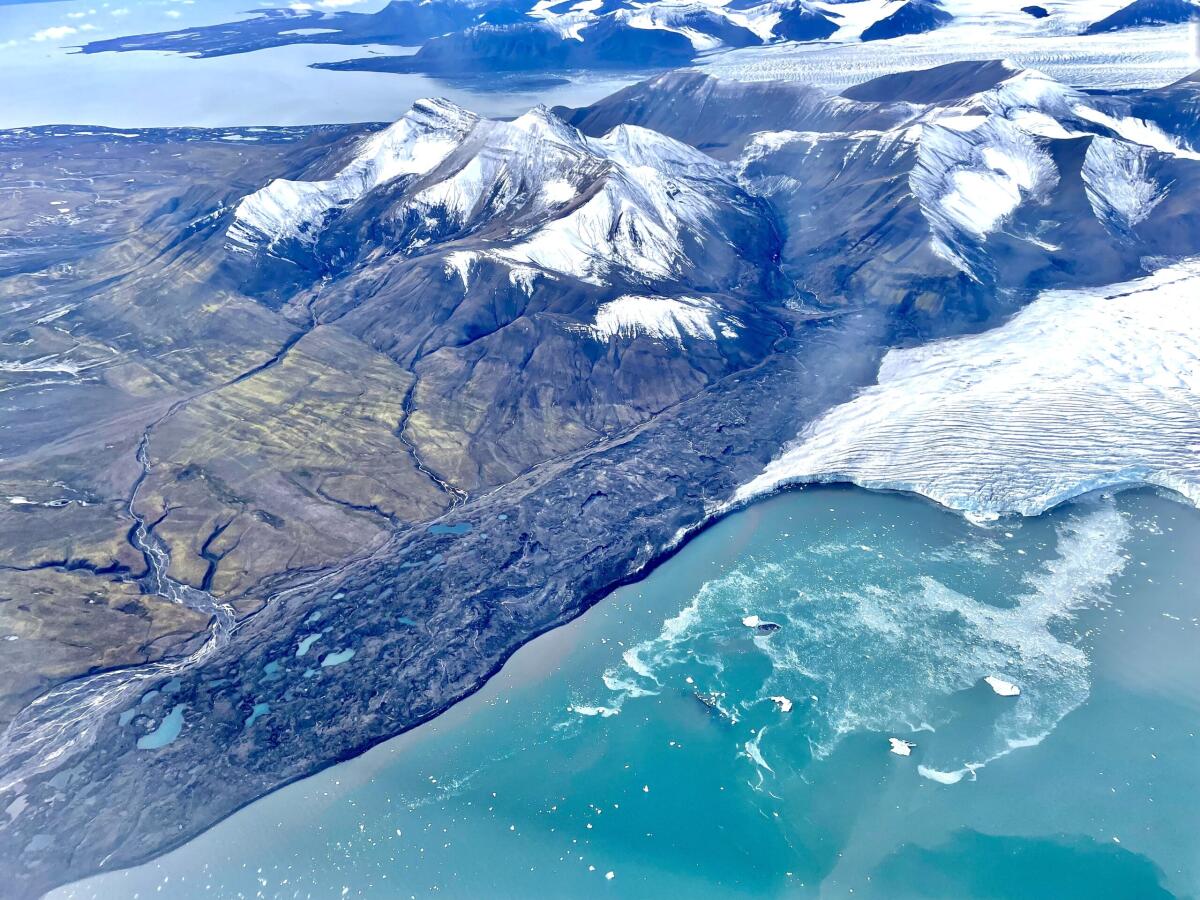 Artico: la tundra si espande ad una velocità senza precedenti - 