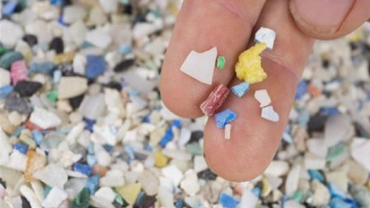 L’inalazione di nanoplastiche riduce le capacità olfattive - binary comment