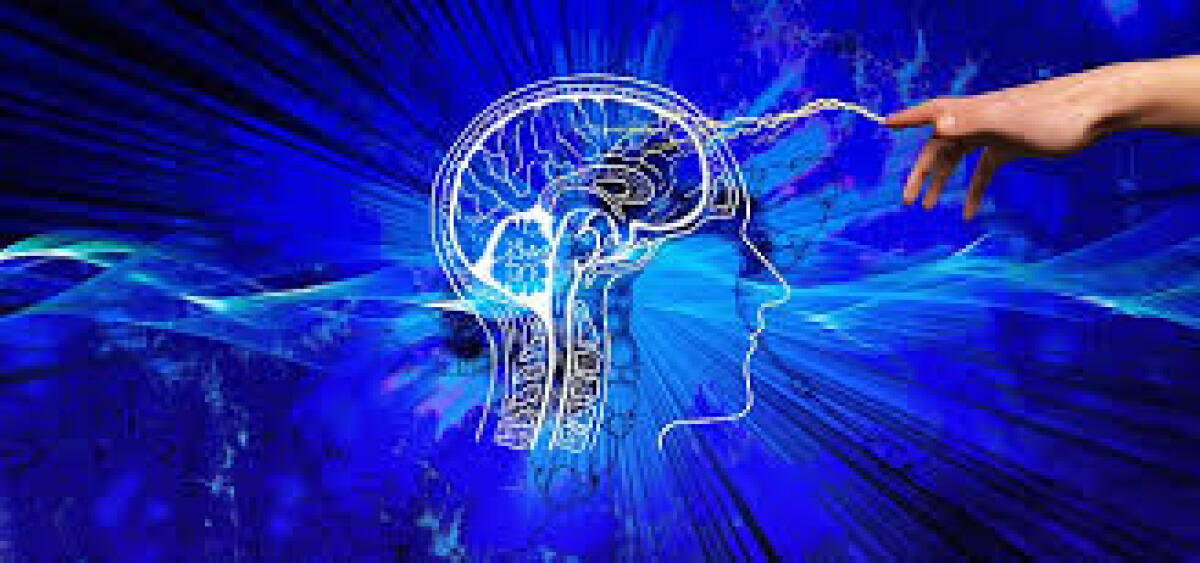 Farmaci che migliorano la memoria a breve termine: l’efficacia dipende dal dosaggio - 