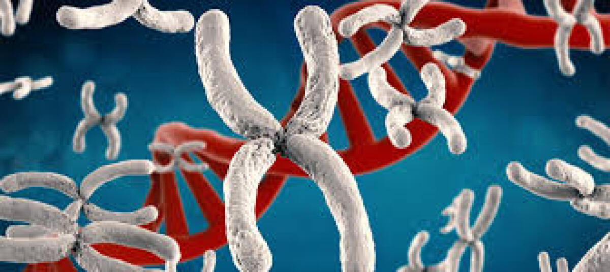 Sindrome di Phelan-McDermid: comprenderla per sviluppare nuovi approcci terapeutici - 