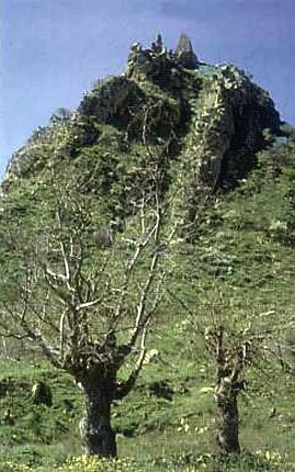 Leonforte. Tavi (ruderi del castello o Castiddazzu)