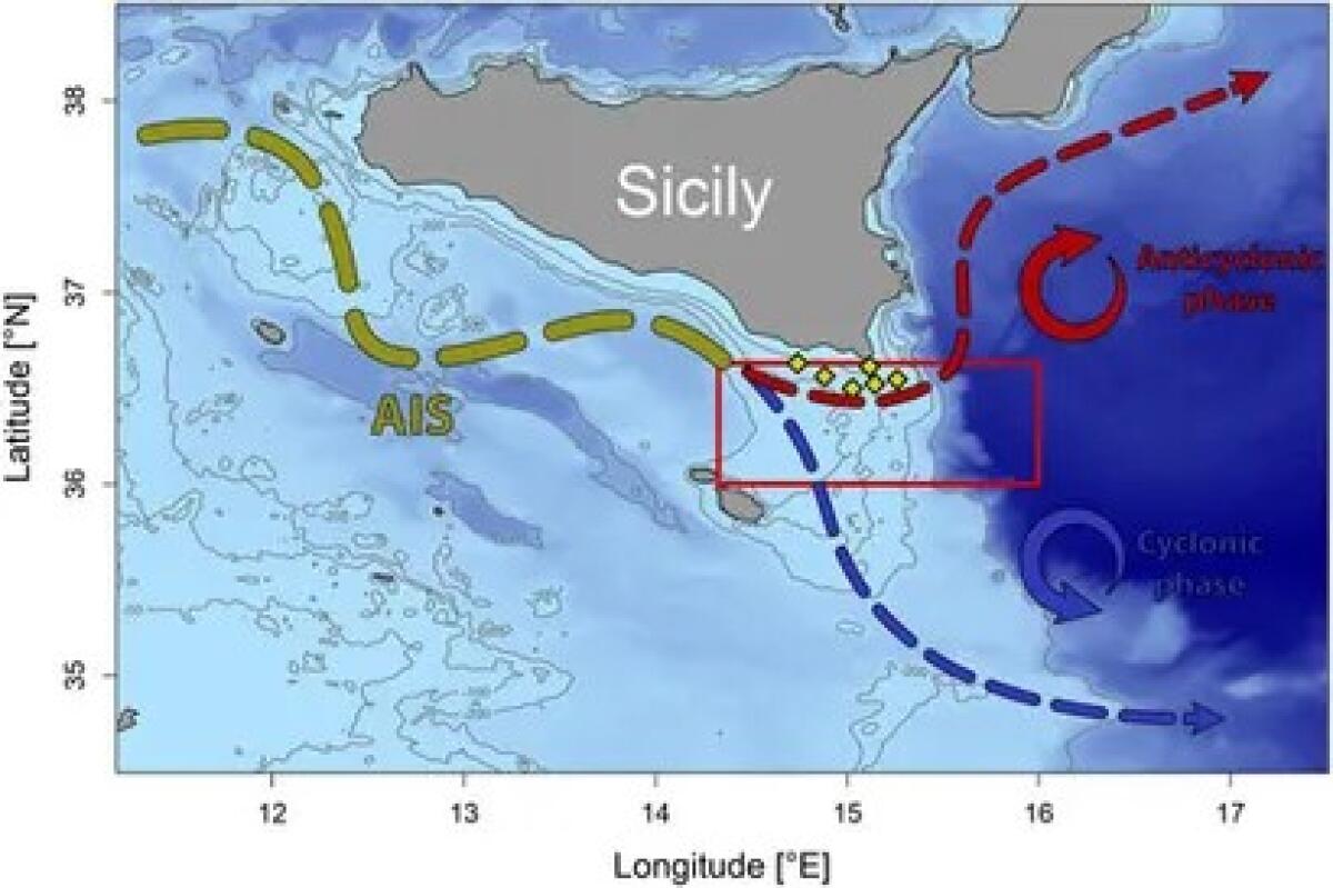 Mediterraneo, rivelato il legame tra correnti marine e biodiversità - 