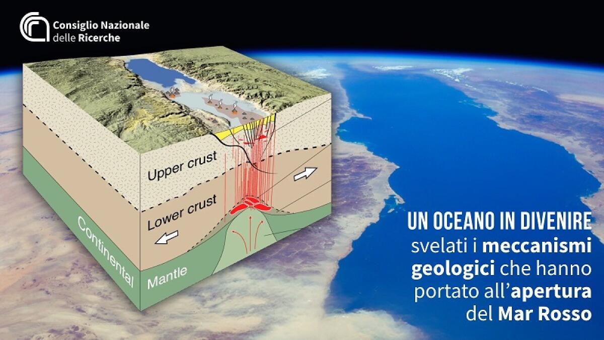 Un oceano in divenire: svelati i meccanismi geologici che hanno portato all’apertura del Mar Rosso - 