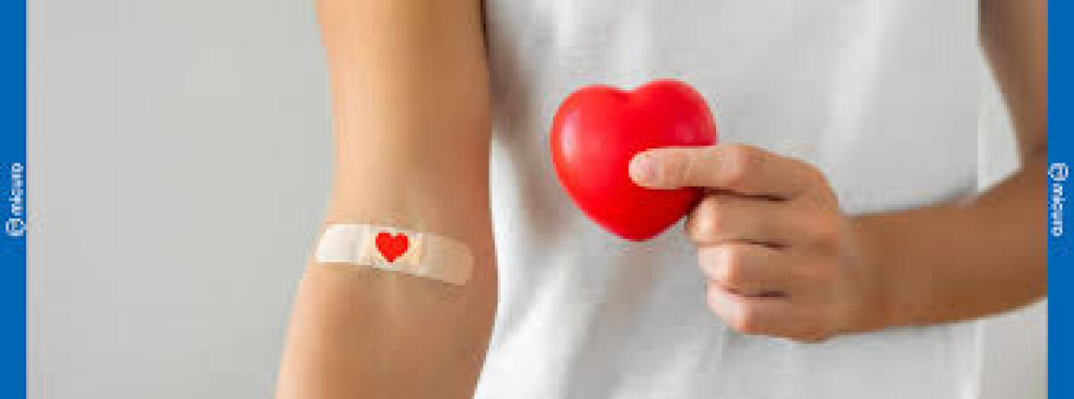 ASP Enna. La Provincia ennese seconda per indice di produzione di sangue in Sicilia, superate le medie nazionali - 