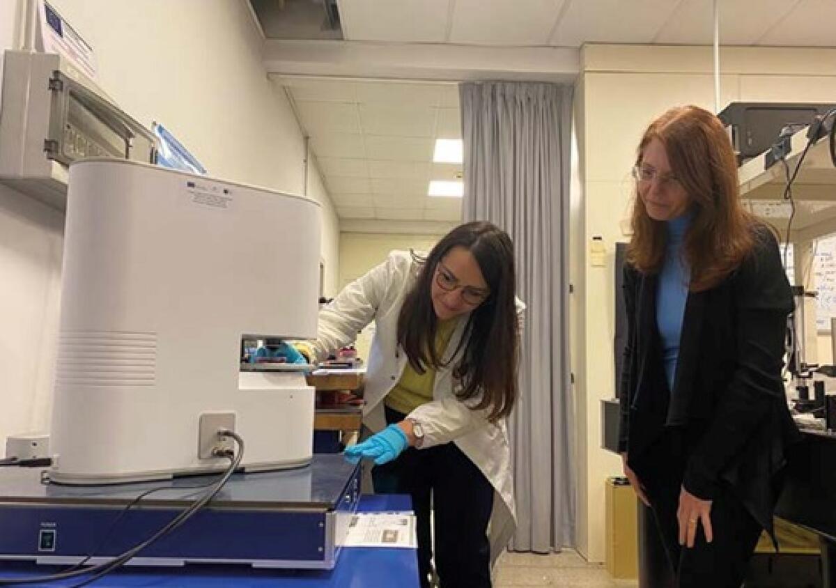 L’imaging ottico tridimensionale per caratterizzare le cellule tumorali - 