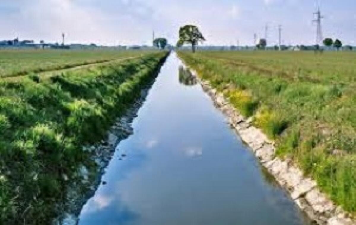 Consorzi di bonifica, al via le stabilizzazioni in Sicilia - 