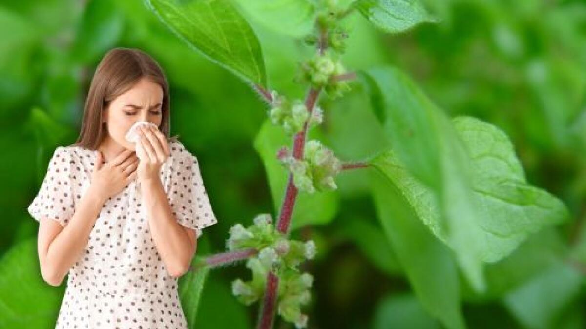 Nuove strade contro le allergie: una biotecnologia per nascondere gli allergeni - 