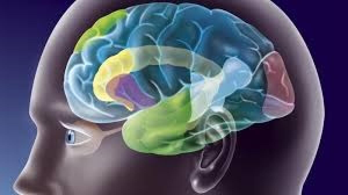 Allenare il cervello per rallentare il declino cognitivo - 