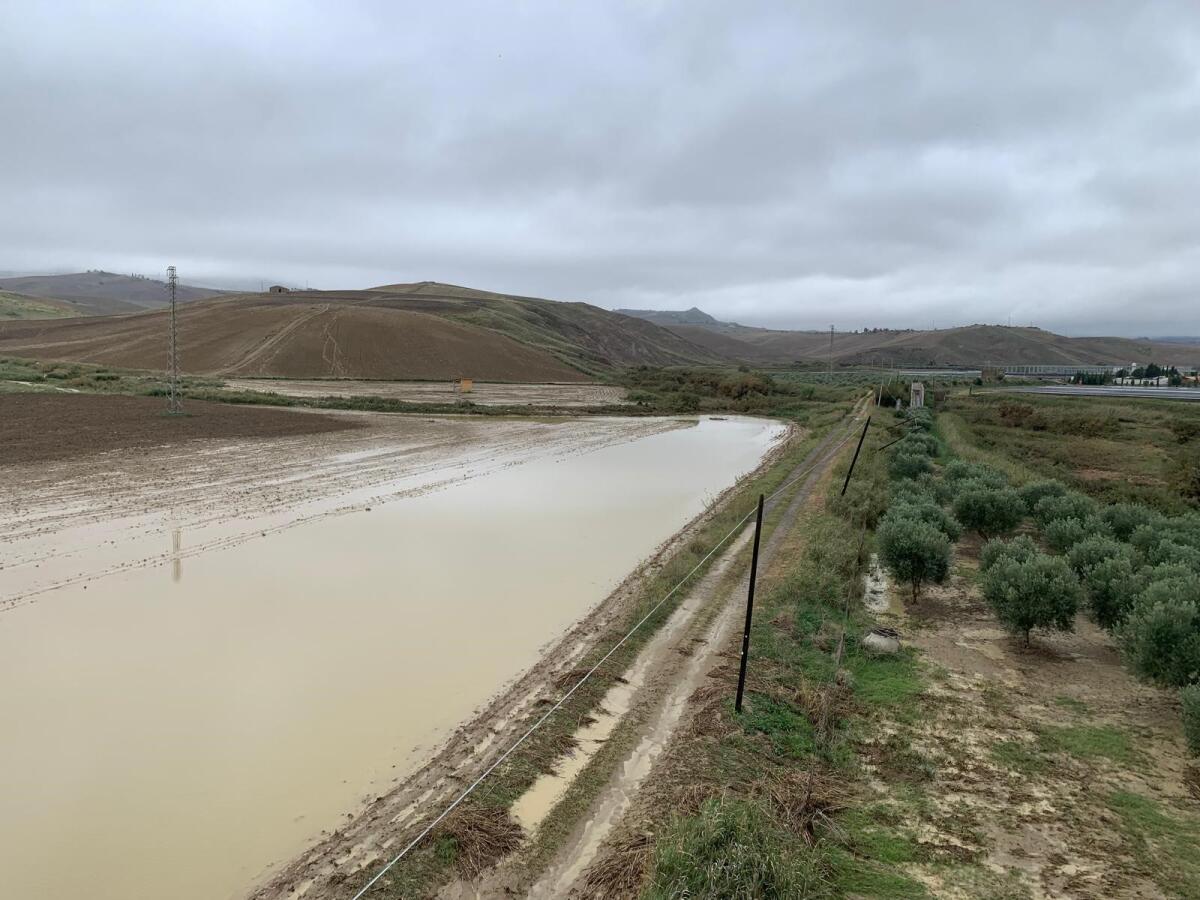 Fiumi, quattro milioni per i lavori di manutenzione della traversa sul Dittaino - 