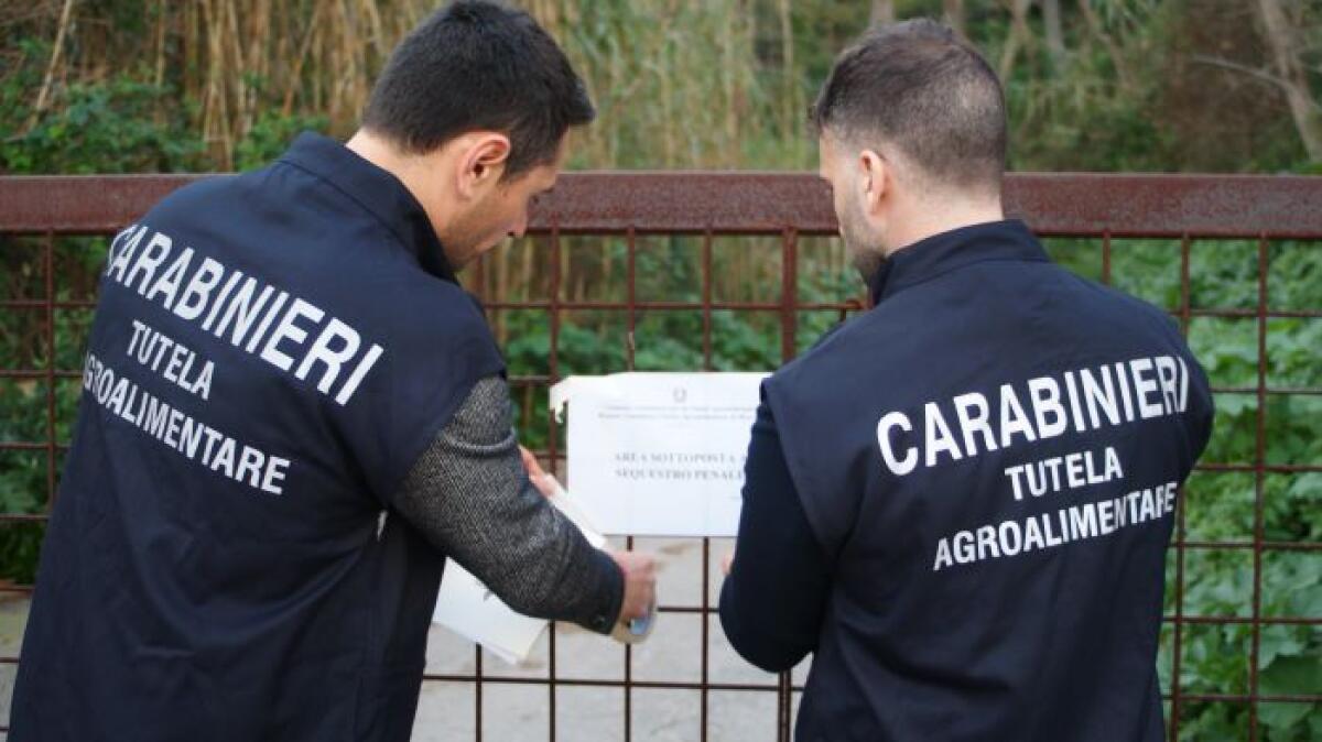 Procura Europea e Carabinieri: misure cautelari a 6 imprenditori agricoli siciliani e 22 informazioni di garanzia per truffa all'UE - 