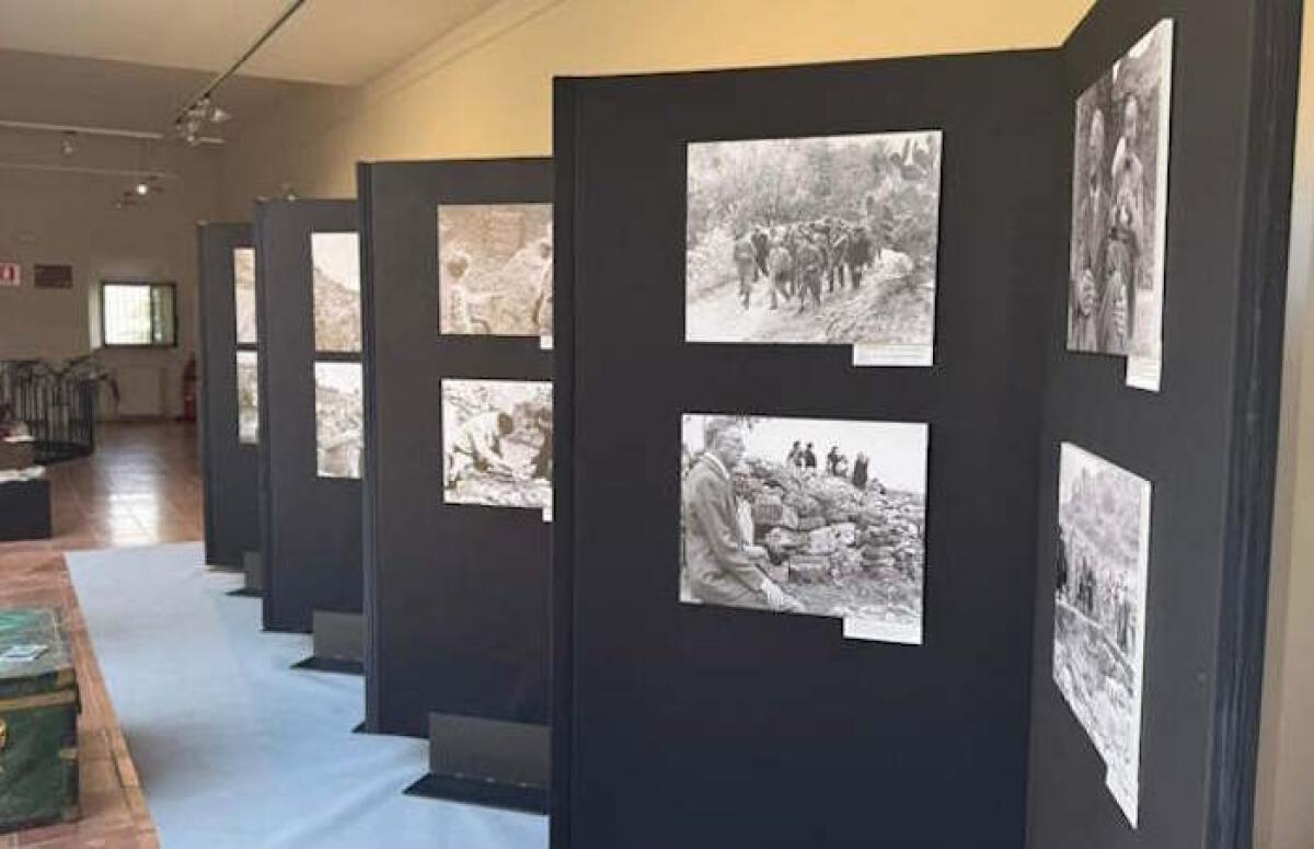 Aidone: al museo, il prof. Frederick Whitling, farà conoscere la figura del Re Archeologo - 