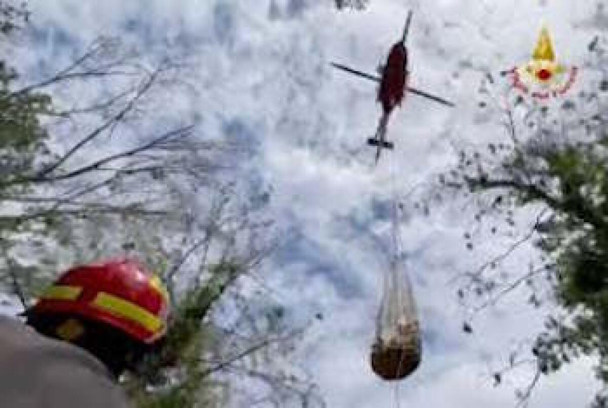 Elicottero Vigili Fuoco recupera vitello in zona impervia ad Assoro - 