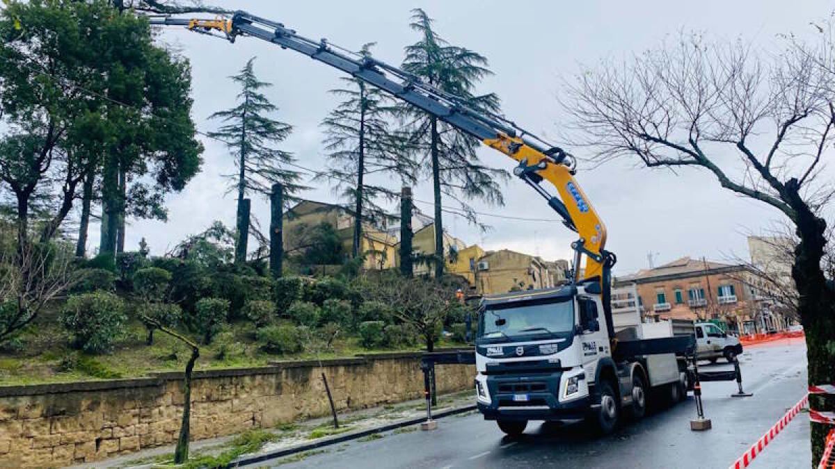 Enna. Villa torre Federico: dai tagli contestati alla narrazione rassicurante delle “nuove piantumazioni” - 