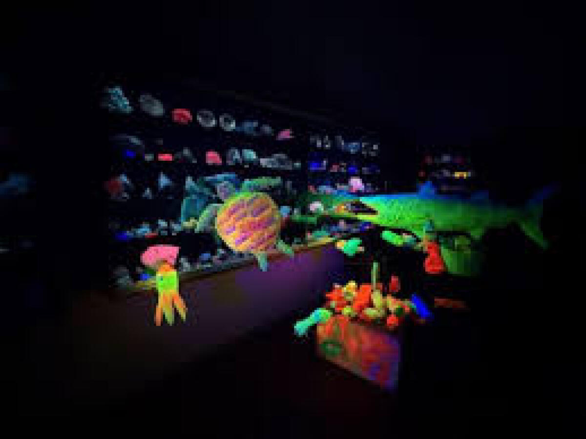 Plastiche, i fossili del futuro - 